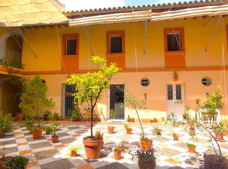 Santo Rey Séville